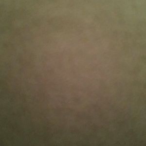 Meet your Posher, Frank